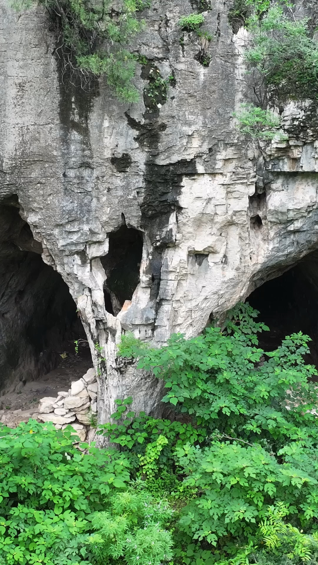 关于	洞Du?鼻&?{胧梿匟>z的信息